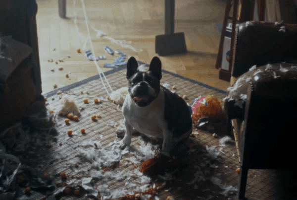 SPA – Film Abandon